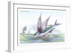 Flying Fish-Robert Hamilton-Framed Art Print