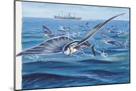 Flying Fishes Flying over a Sea (Cypselurus Heterurus)-null-Mounted Giclee Print