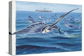 Flying Fishes Flying over a Sea (Cypselurus Heterurus)-null-Stretched Canvas