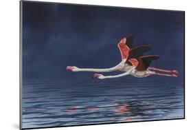 Flying Flamingos-Peter Blackwell-Mounted Art Print