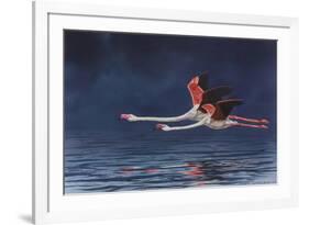 Flying Flamingos-Peter Blackwell-Framed Premium Giclee Print