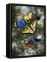 Flying Flowers-William Vanderdasson-Framed Stretched Canvas