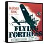 Flying Fortess, 1942-null-Framed Stretched Canvas