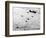 Flying Fortresses in Flight over Germany-null-Framed Photographic Print