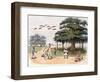 Flying Foxes at Banyantree, C.1791-98 (Colour Aquatint)-Charles Gold-Framed Giclee Print