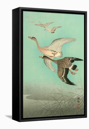 Flying Geese-Koson Ohara-Framed Stretched Canvas