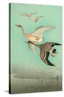 Flying Geese-Koson Ohara-Stretched Canvas