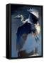 Flying Great Blue Heron-Vivienne Dupont-Framed Stretched Canvas