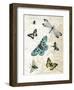 Flying High-Marion Mcconaghie-Framed Art Print