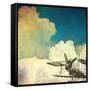 Flying High-Kevin Calaguiro-Framed Stretched Canvas