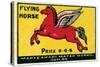 Flying Horse-null-Stretched Canvas