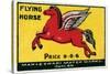 Flying Horse-null-Stretched Canvas