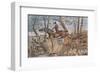 Flying Leap-Henry Thomas Alken-Framed Art Print