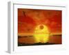 Flying Life Forms Grace the Crimson Skies of the Earth-Like Extrasolar Planet Gliese 581 C-Stocktrek Images-Framed Photographic Print