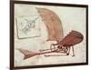 Flying Machine-Leonardo da Vinci-Framed Giclee Print