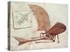 Flying Machine-Leonardo da Vinci-Stretched Canvas