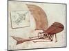Flying Machine-Leonardo da Vinci-Mounted Giclee Print