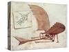 Flying Machine-Leonardo da Vinci-Stretched Canvas