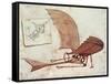 Flying Machine-Leonardo da Vinci-Framed Stretched Canvas