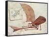 Flying Machine-Leonardo da Vinci-Framed Stretched Canvas