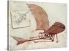 Flying Machine-Leonardo da Vinci-Stretched Canvas