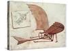 Flying Machine-Leonardo da Vinci-Stretched Canvas