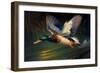 Flying Mallard Drake-Vivienne Dupont-Framed Art Print