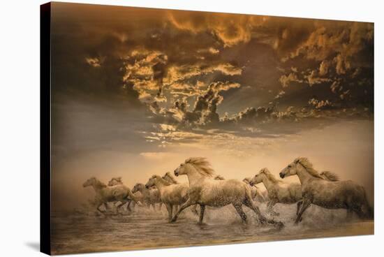 Flying Manes-Bobbie Goodrich-Stretched Canvas