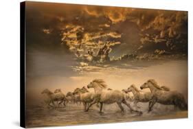 Flying Manes-Bobbie Goodrich-Stretched Canvas