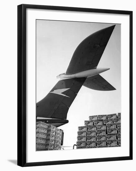 Flying Melons-null-Framed Photographic Print