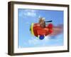 Flying Mouse-J Hovenstine Studios-Framed Giclee Print