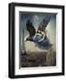 Flying Over Paris-Sasha-Framed Premium Giclee Print