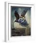 Flying Over Paris-Sasha-Framed Premium Giclee Print