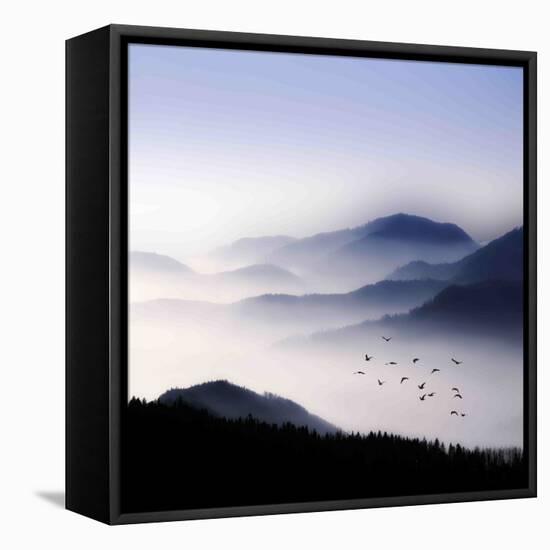 Flying over the Fog-Philippe Sainte-Laudy-Framed Stretched Canvas