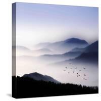 Flying over the Fog-Philippe Sainte-Laudy-Stretched Canvas