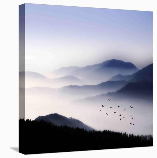 Flying over the Fog-Philippe Sainte-Laudy-Stretched Canvas