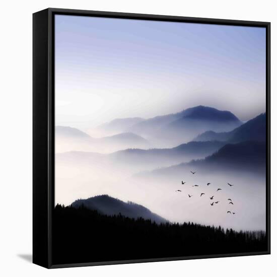 Flying over the Fog-Philippe Sainte-Laudy-Framed Stretched Canvas