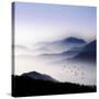 Flying over the Fog-Philippe Sainte-Laudy-Stretched Canvas
