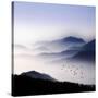 Flying over the Fog-Philippe Sainte-Laudy-Stretched Canvas