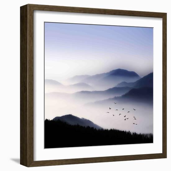 Flying over the Fog-Philippe Sainte-Laudy-Framed Photographic Print