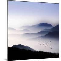 Flying over the Fog-Philippe Sainte-Laudy-Mounted Photographic Print