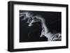 Flying Over-Jun Zuo-Framed Photographic Print