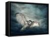 Flying Owl Bird at Night-egal-Framed Stretched Canvas