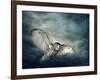 Flying Owl Bird at Night-egal-Framed Photographic Print