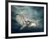 Flying Owl Bird at Night-egal-Framed Photographic Print