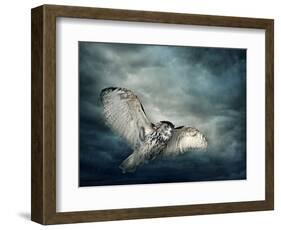 Flying Owl Bird at Night-egal-Framed Photographic Print