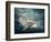 Flying Owl Bird at Night-egal-Framed Photographic Print