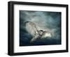 Flying Owl Bird at Night-egal-Framed Photographic Print