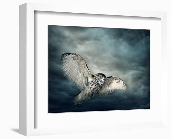 Flying Owl Bird at Night-egal-Framed Photographic Print