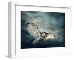 Flying Owl Bird at Night-egal-Framed Photographic Print